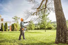 Best Tree and Shrub Care  in Tower City, PA